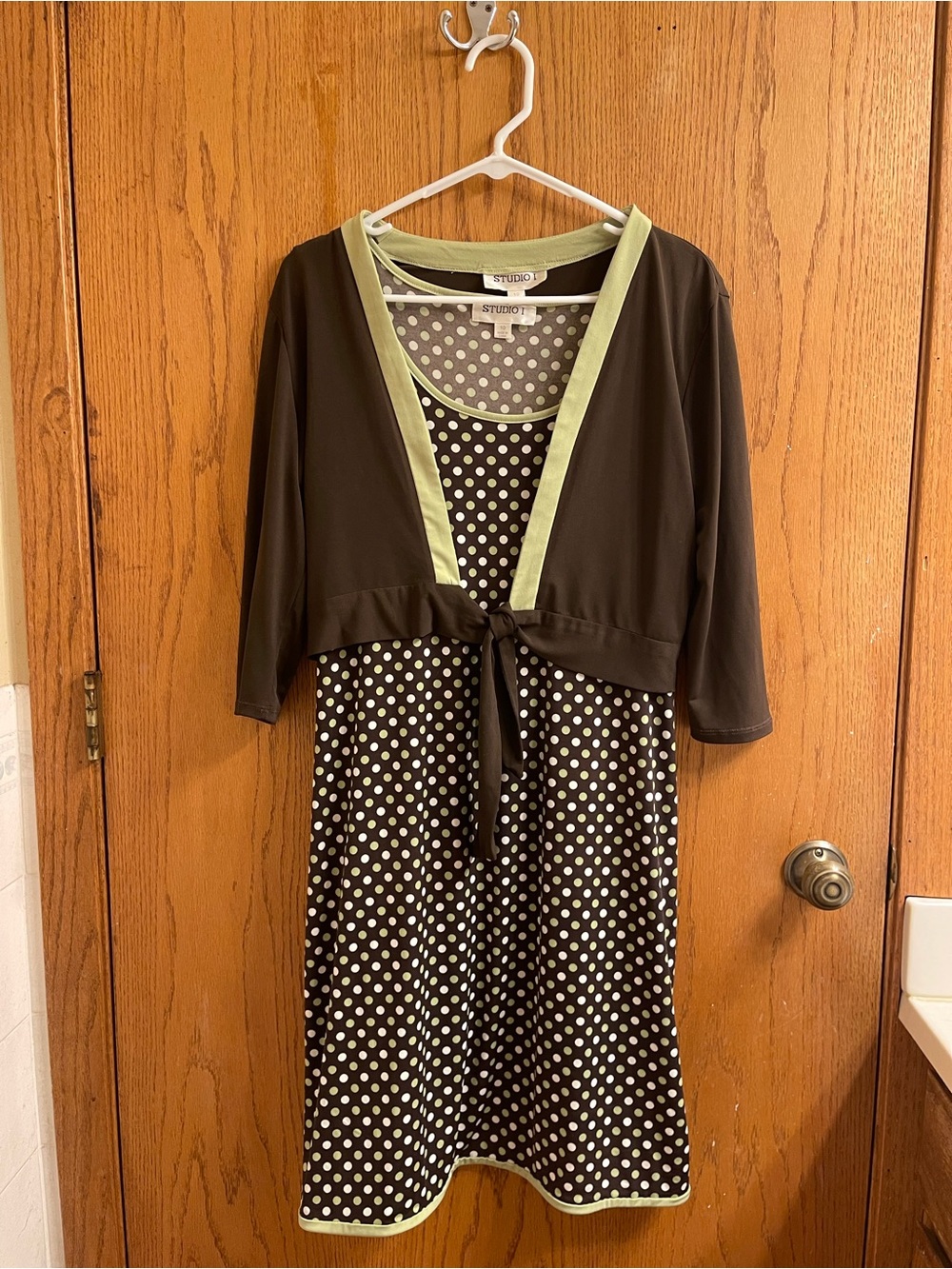 Studio I Brown Polka Dot Dress with Light Green Accents